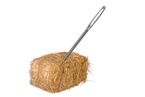 If you must be the needle in the haystack then be the big needle and stand out!