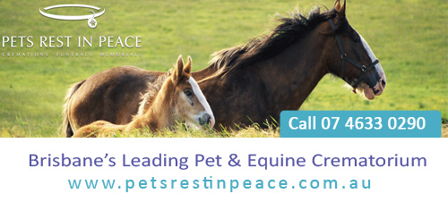 pet funerals, pet equine crematorium, pet cremations, equine cremations, pet crematorium