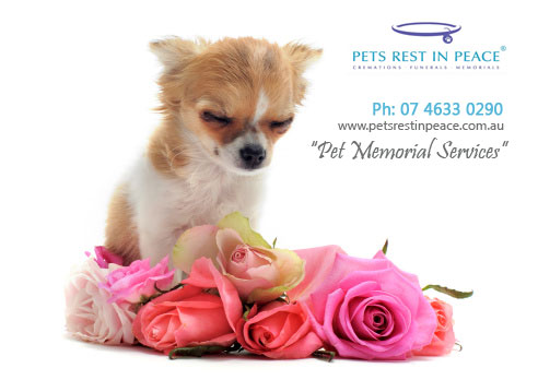 pet cremations, pet burial, pert memorial, pet crematorium Brisbane, Brisbane per funerals